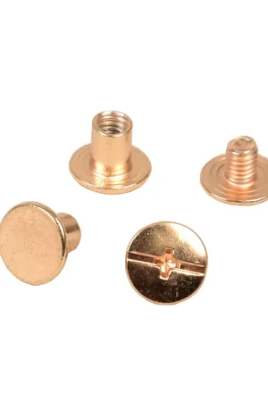 Lot de 8 vis Chicago 10x6mm or Garantie Incluse